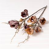 Branch - Magnolia (PK/12 AST)
