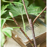 Artificial Octagonal Foliage Branch 37.4" Tall