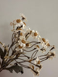 13" Faux Cream Dried Daisy Bundle