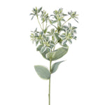 18.5 Greenery Spray